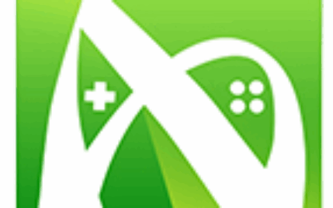 南京睿悦信息技术有限公司