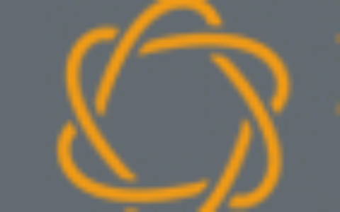 四川政企网络信息服务有限公司