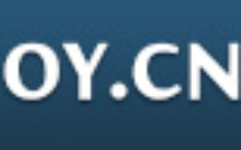 上海激动网络股份有限公司