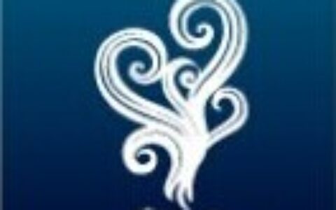 上海炎岛网络科技有限公司