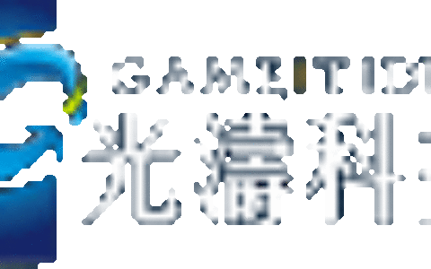 皇玩科技股份有限公司