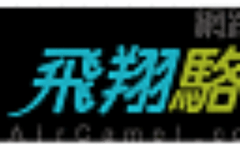 飛翔駱駝國際資訊股份有限公司