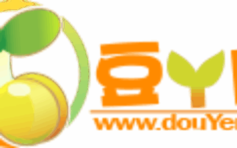 西安豆丫网络科技有限公司