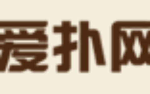 上海爱扑网络科技有限公司