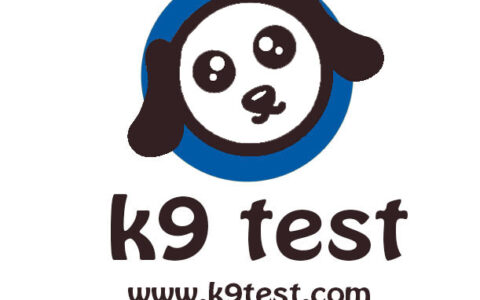 新乡市共盈网络技术有限公司