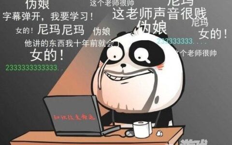 弹幕网站辛酸中壮大 AB站阵营战略对垒