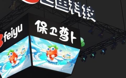 飞鱼科技上半年营收2亿元 同比增长55.9%