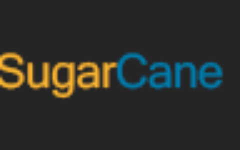 成都点洋网络科技有限公司