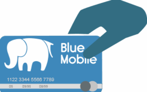 Blue Pay