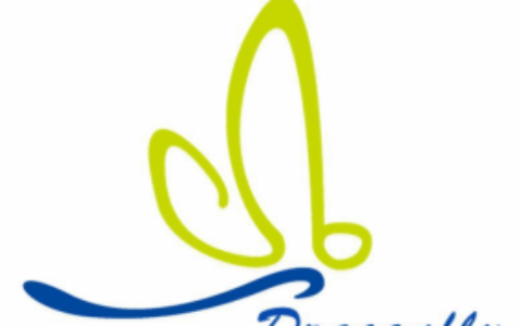 苏州蜻蜓信息科技有限公司