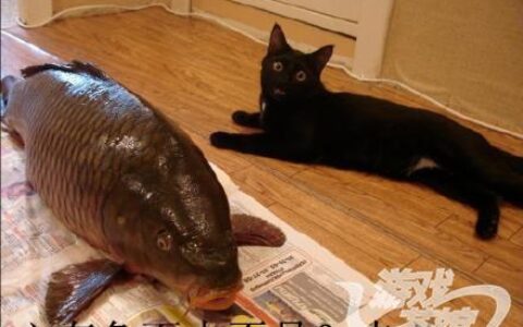 【好望角】西游题材游戏市场巨大，网易垄断中小CP如何抢蛋糕?