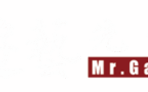 北京游艺先生科技有限公司