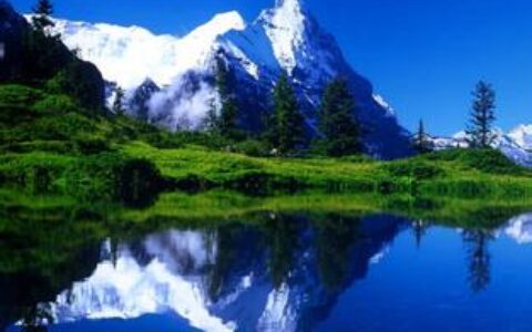 【海外嗅觉】将游戏上升到国家大事是一种怎样的体验？