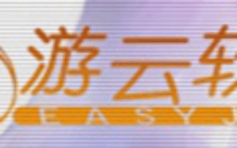 深圳游云软件科技有限公司