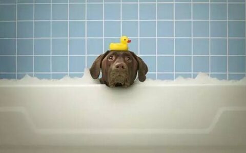 你知道吗？距离2016年还有这么多“欠债”的手游未上线