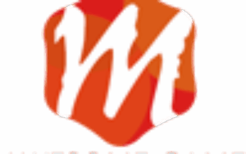 上海闵正科技有限公司