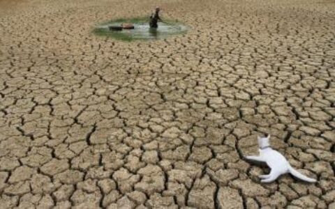 【好望角】十年后拿什么产品面对后辈？内容为王的口号还要喊多久？