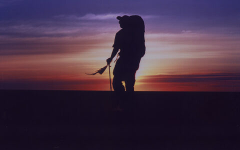 Wargaming成立WG Cells 负责拓展手游