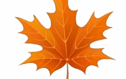 北京黄枫叶科技有限公司