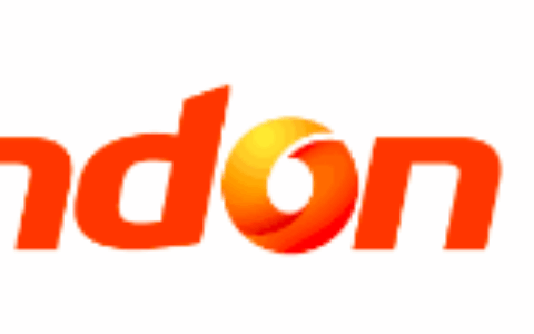 新动互娱网络科技有限公司