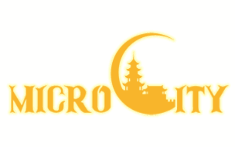 盛世微城（北京）网络科技发展有限公司