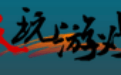 上海天玩网络科技有限公司