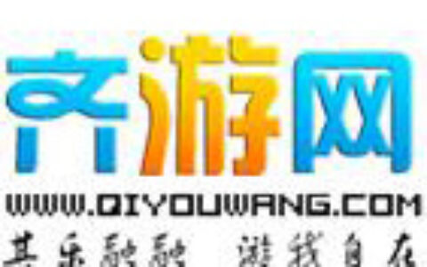 河南齐游网络技术有限公司