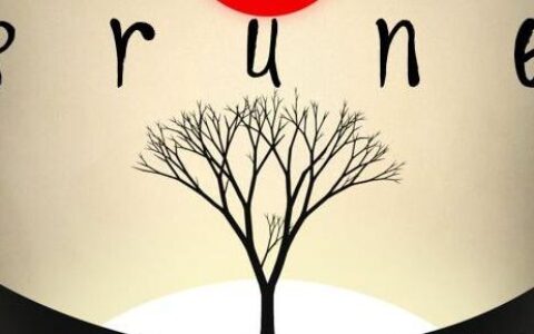 《时代周刊》年度十佳游戏评选，手游《修剪艺术》力压群雄收获第一