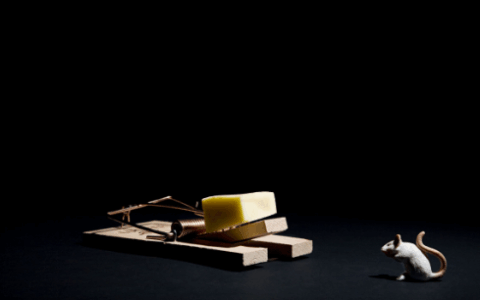 佳伦说：手游公司多少家关你啥事 还是看看手游圈黑幕吧