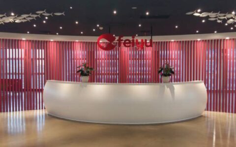 飞鱼科技独家专访：继续完成海外市场战略布局，细分领域继续深耕细作