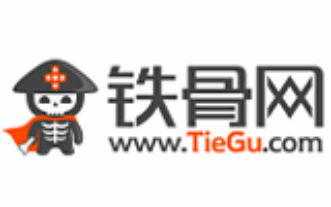 武汉快玩科技有限公司（铁骨网/9665）