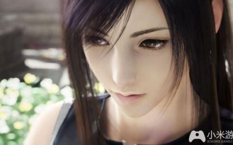 小米游戏开发者分成11亿 明年推广告SDK