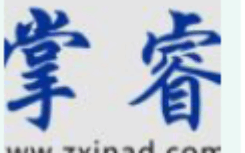 广州掌睿信息科技有限公司