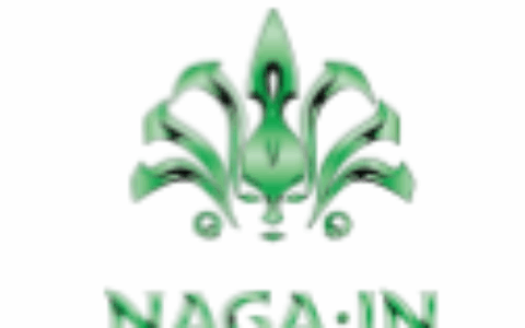 北京娜迦信息科技发展有限公司