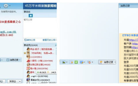 你家游戏去年流水有这个私服高吗？