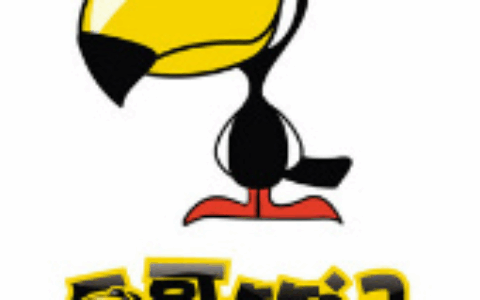 上海青墨网络科技