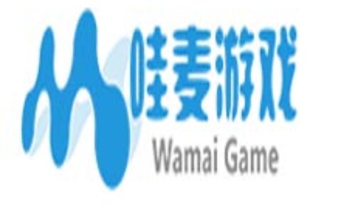 上海哇麦信息技术有限公司