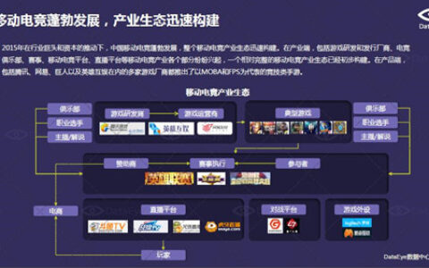 DataEye移动电竞报告 新游互联提供游戏手柄数据支持