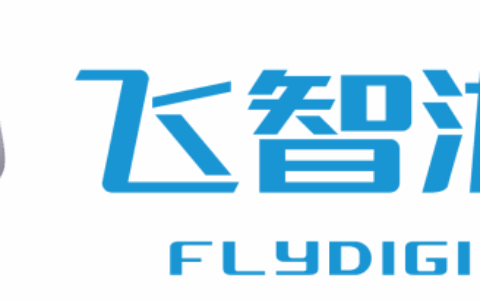 上海飞智电子科技有限公司