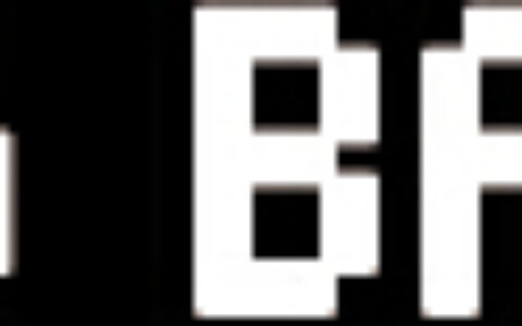 成都比格邦网络有限公司