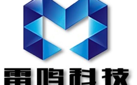 上海雷鸣文化传播有限公司