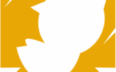 蛋壳游戏有限公司