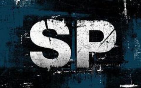 佳伦说：从依赖运营商的SP到多点突破的单机游戏CP