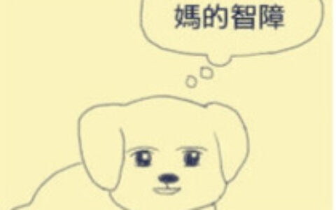 我国玩家智商是不是普遍比较低？