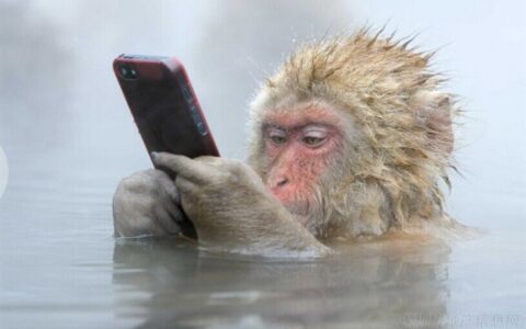 业内巨头积极“联姻”，手游市场乱象将平？