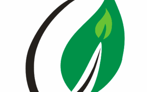 深圳橄榄叶科技有限公司