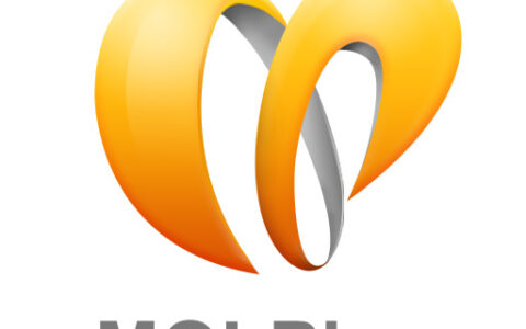 MOBILE ONLINE PLAY PTE LTD