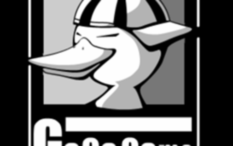 合肥嘎嘎网络科技有限公司