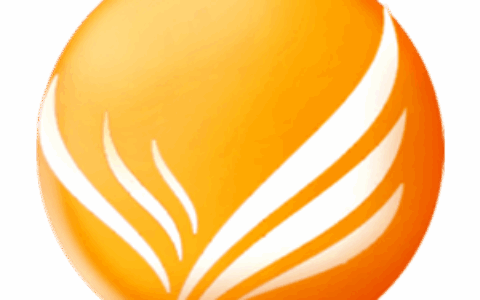 雅耀（湖南）科技有限公司