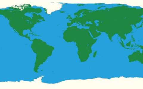 佳伦说：全球化的手游是个伪命题